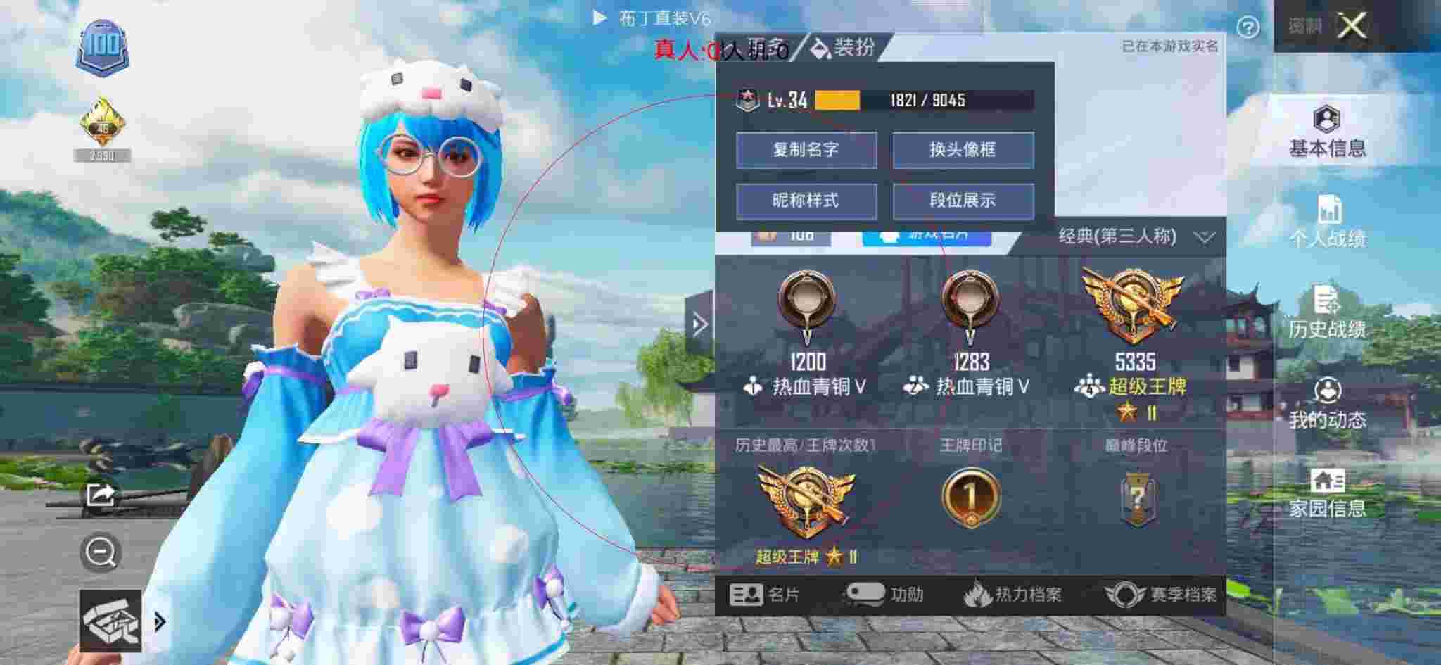 和平精英布丁直装透视 - 和平精英战绩查询辅助工具辅助预览图